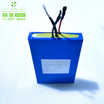 CTS OEM बैटरी पैक 9.6V 11.1V 40Ah लिथियम आयन LiFePO4