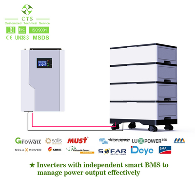 Rack Mounted Lifepo4 Battery Energy Storage 48v 100ah For Home